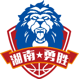 盐南苏科雄狮