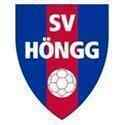 SV沙夫豪森