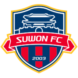 龙仁FC