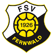 亨费尔德SV